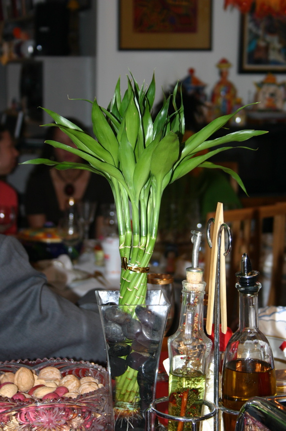 IMG_7147.JPG
